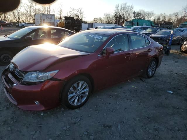 2013 Lexus ES 300H