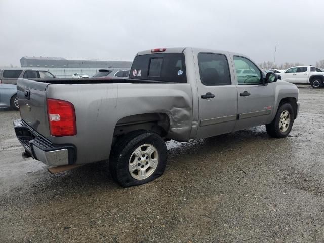 2007 Chevrolet Silverado C1500 Crew Cab