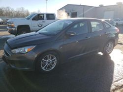 Ford salvage cars for sale: 2016 Ford Focus SE