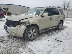 Ford Escape Vehiculos salvage en venta: 2010 Ford Escape Limited