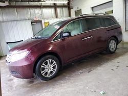 Salvage cars for sale from Copart Chicago Heights, IL: 2011 Honda Odyssey EXL