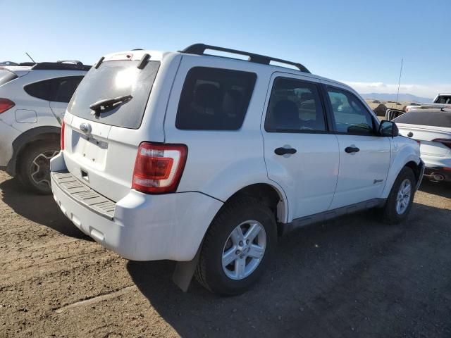 2009 Ford Escape Hybrid