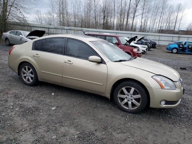 2004 Nissan Maxima SE