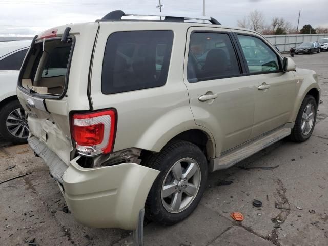 2010 Ford Escape Limited