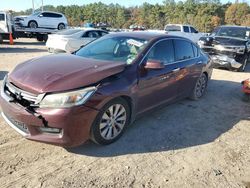 Salvage cars for sale at Greenwell Springs, LA auction: 2015 Honda Accord EXL