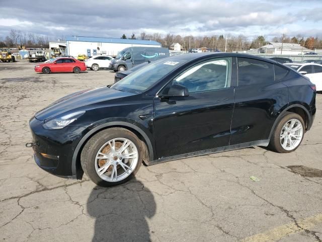 2020 Tesla Model Y