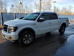 Salvage cars for sale at Moncton, NB auction: 2014 Ford F150 Supercrew