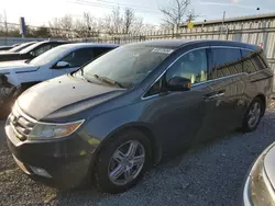 2011 Honda Odyssey Touring en venta en Walton, KY