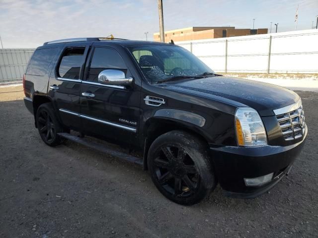 2013 Cadillac Escalade Luxury