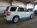 2010 Ford Escape Limited