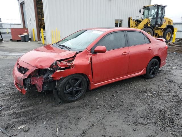 2010 Toyota Corolla Base