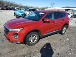 Hyundai Santa fe salvage cars for sale: 2019 Hyundai Santa FE SEL