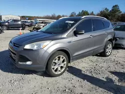 Salvage cars for sale at Memphis, TN auction: 2014 Ford Escape Titanium