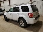 2010 Ford Escape Hybrid