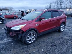 Ford salvage cars for sale: 2014 Ford Escape Titanium