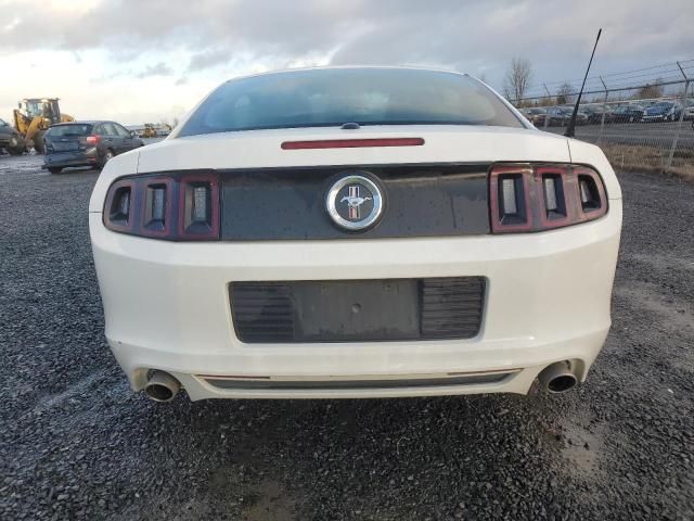 2013 Ford Mustang