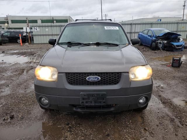 2005 Ford Escape XLT