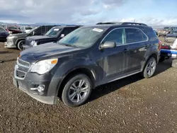 Chevrolet salvage cars for sale: 2013 Chevrolet Equinox LT