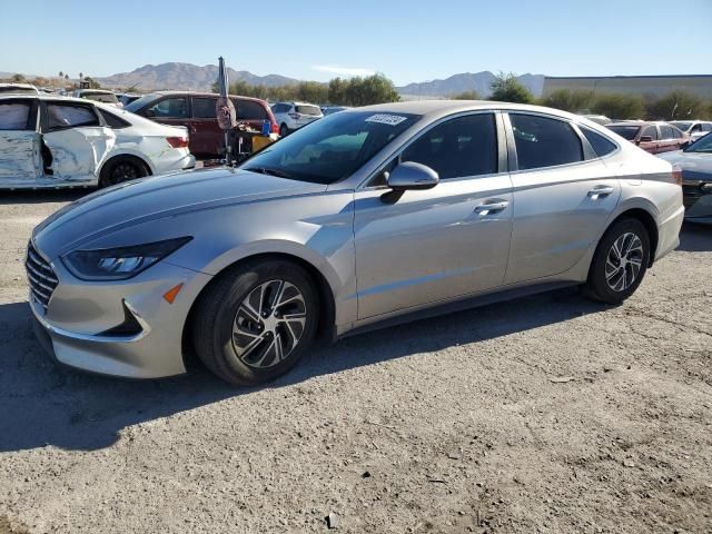 2021 Hyundai Sonata Hybrid