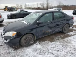 Toyota Corolla ce salvage cars for sale: 2008 Toyota Corolla CE