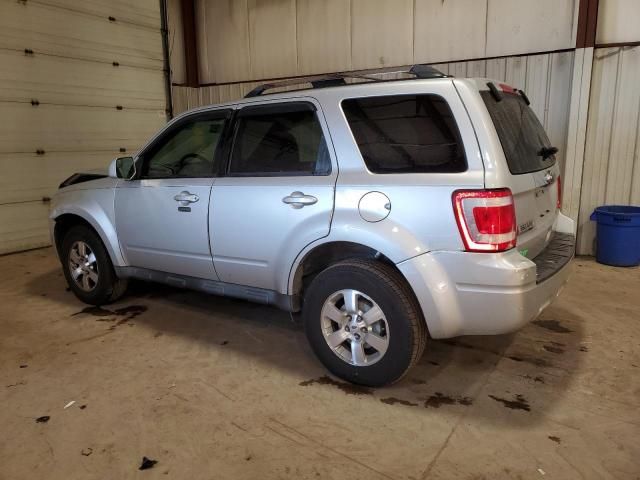 2010 Ford Escape Limited