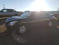 Nissan salvage cars for sale: 2010 Nissan Altima Base