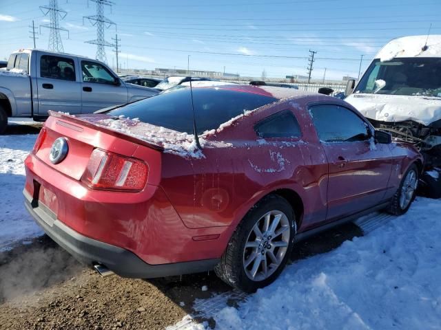 2010 Ford Mustang