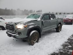 Salvage cars for sale at Windham, ME auction: 2022 Toyota Tacoma Double Cab