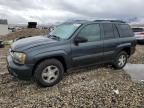 2005 Chevrolet Trailblazer LS