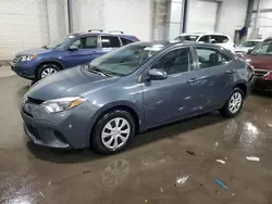 Salvage cars for sale from Copart Ham Lake, MN: 2016 Toyota Corolla L