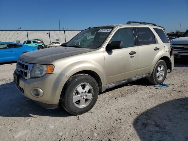 2011 Ford Escape XLT