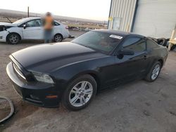 Salvage cars for sale at Albuquerque, NM auction: 2014 Ford Mustang