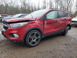 Salvage cars for sale at Cookstown, ON auction: 2019 Ford Escape SEL