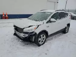 2014 Ford Escape SE en venta en Farr West, UT