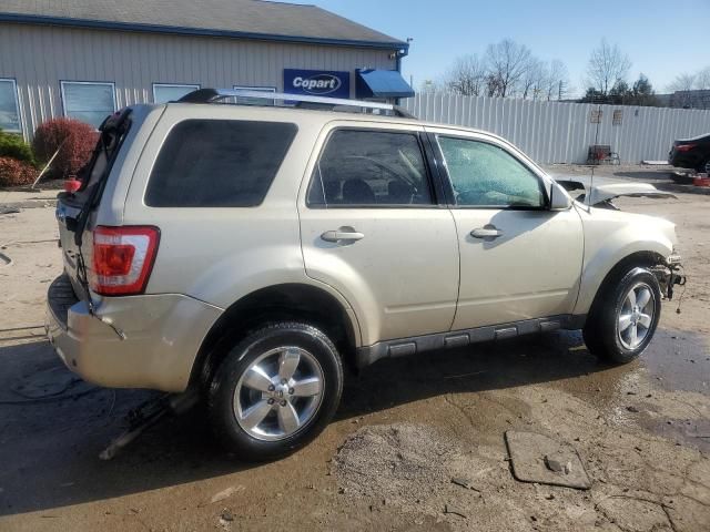 2011 Ford Escape Limited