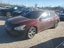 Nissan salvage cars for sale: 2013 Nissan Maxima S