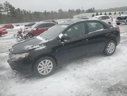 KIA salvage cars for sale: 2013 KIA Forte EX