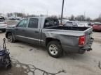 2010 Dodge Dakota SXT