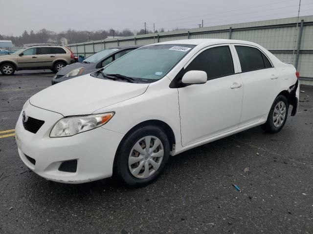 2010 Toyota Corolla Base