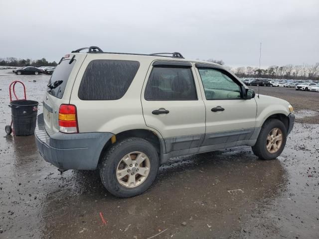 2006 Ford Escape XLT