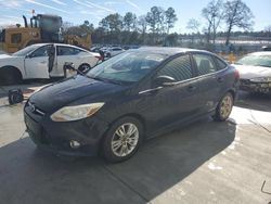 Ford Focus sel salvage cars for sale: 2012 Ford Focus SEL