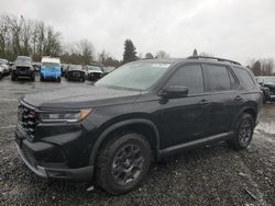 Salvage cars for sale at Portland, OR auction: 2024 Honda Pilot Trailsport