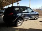 2007 Hyundai Santa FE GLS