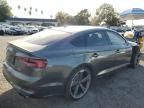 2019 Audi S5 Prestige