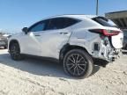 2024 Lexus NX 350H Base