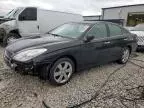 2005 Lexus ES 330