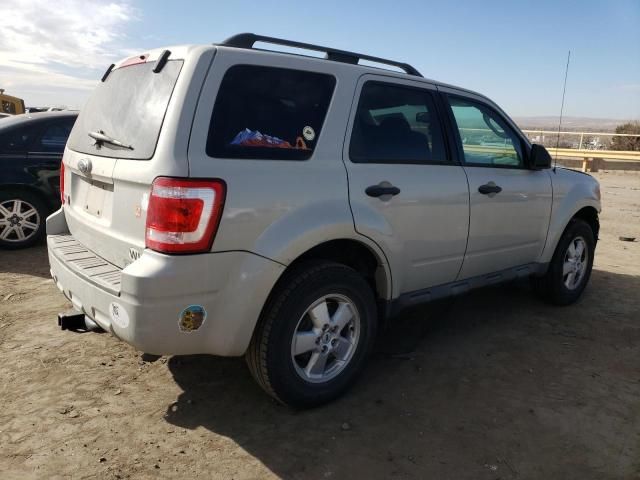 2009 Ford Escape XLT