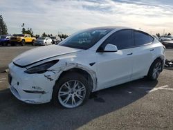 2023 Tesla Model Y en venta en Rancho Cucamonga, CA