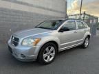 2010 Dodge Caliber SXT