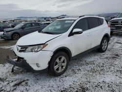 Salvage cars for sale at Helena, MT auction: 2014 Toyota Rav4 XLE